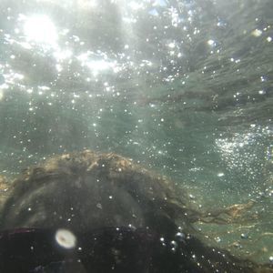 Meet your Posher, Caleb